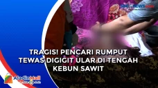Tragis! Pencari Rumput...