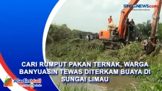 Cari Rumput Pakan Ternak,...