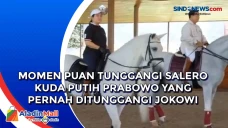 Momen Puan Tunggangi...