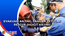 Evakuasi Anjing, Tangan...