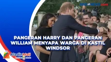 Pangeran Harry dan Pangeran...