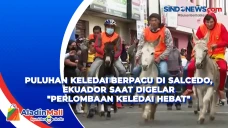 Puluhan Keledai Berpacu...