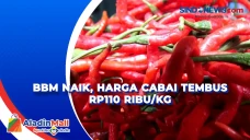 BBM Naik, Harga Cabai...