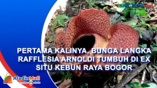 Pertama Kalinya, Bunga...