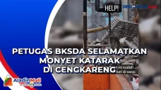 Petugas BKSDA Selamatkan...