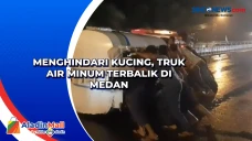 Menghindari Kucing,...