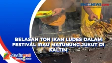 Belasan Ton Ikan Ludes...
