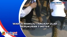 Warga Mamuju Tangkap...