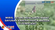 Miris, Petani Mengamuk...