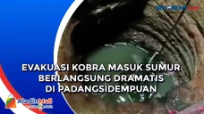 Evakuasi Kobra Masuk...