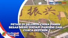 Petani di Seluruh China...