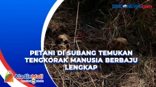 Petani di Subang Temukan...