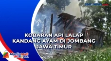 Diduga Akibat Puntung...