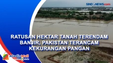 Ratusan Hektar Tanah...