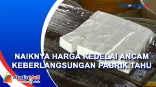 Naiknya Harga Kedelai...