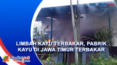 Limbah Kayu Terbakar,...