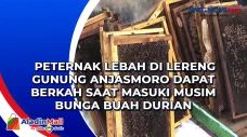 Peternak Lebah di Lereng...