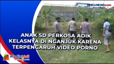 Anak SD Perkosa Adik...