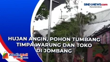 Hujan Angin, Pohon Tumbang...