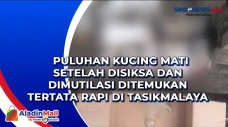 Puluhan Kucing Mati...