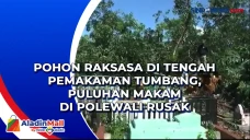 Pohon Raksasa di Tengah...