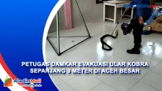 Petugas Damkar Evakuasi...