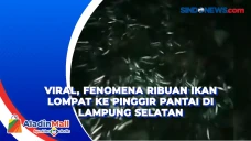Viral, Fenomena Ribuan...