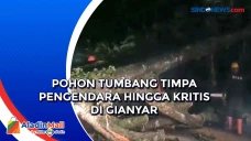 Pohon Tumbang Timpa...
