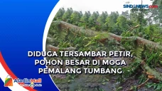 Diduga Tersambar Petir,...