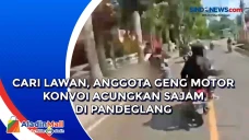 Cari Lawan, Anggota...