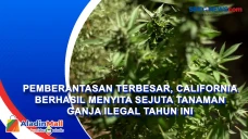 Pemberantasan Terbesar,...