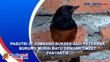 Pasutri di Jombang Sukses...