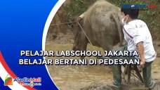 Pelajar Labschool Jakarta...