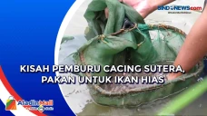Kisah Pemburu Cacing...