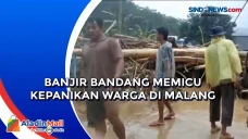 Banjir Bandang Memicu...