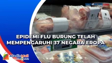 Epidemi Flu Burung telah...