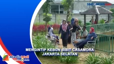 Mengintip Kebun Bibit...