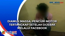 Diamuk Massa, Pencuri...