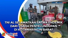TNI AL Selamatkan Satwa...