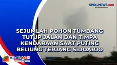 Sejumlah Pohon Tumbang...