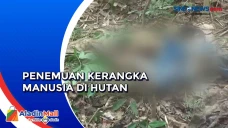 Pencari Madu Temukan...