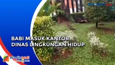 Pegawai Panik saat Seekor...
