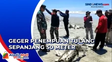 Geger Penemuan Tulang...