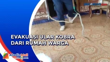 Sempat Bersembunyi,...