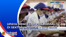 Upaya Mencegah PHK Massal...
