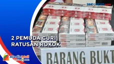 2 Pemuda di Jambi Curi...