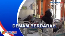 Terjangkit Demam Berdarah,...