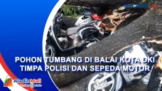 Pohon di Balai Kota...