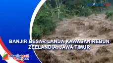 Banjir Besar di Jember,...