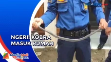 Ngeri! Petugas Evakuasi...